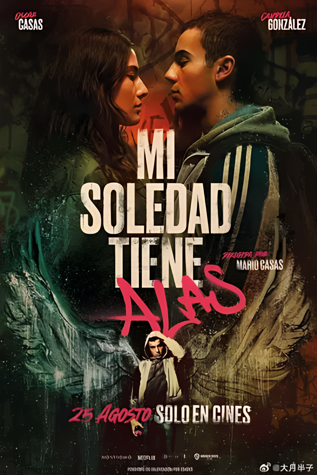 孤独的人有羽翼